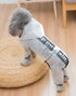 SemiTransparent Raincoat